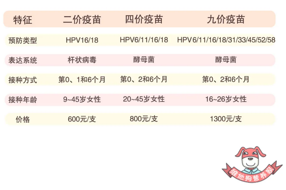 宫颈癌疫苗价格价格表图片