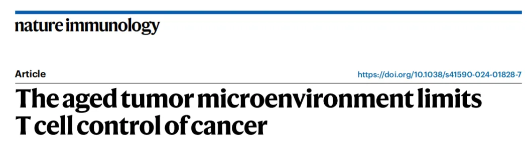 《Nature》揭示：对抗老年癌症，免疫细胞是关键