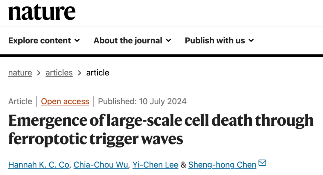 铁死亡再登Nature，我国学者揭示铁死亡在胚胎发育中的作用