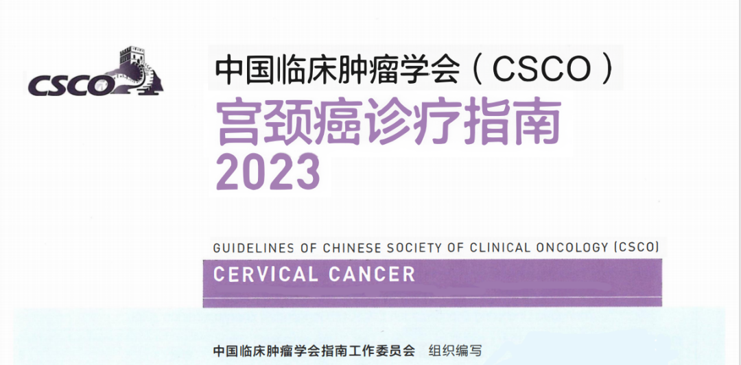 2023CSCO宫颈癌诊疗指南发布（内附下载）